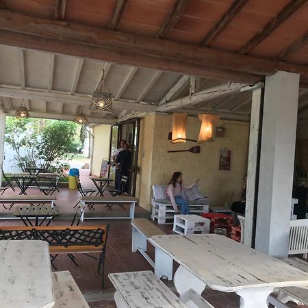 Camping I Melograni Marina Di Bibbona Eksteriør billede