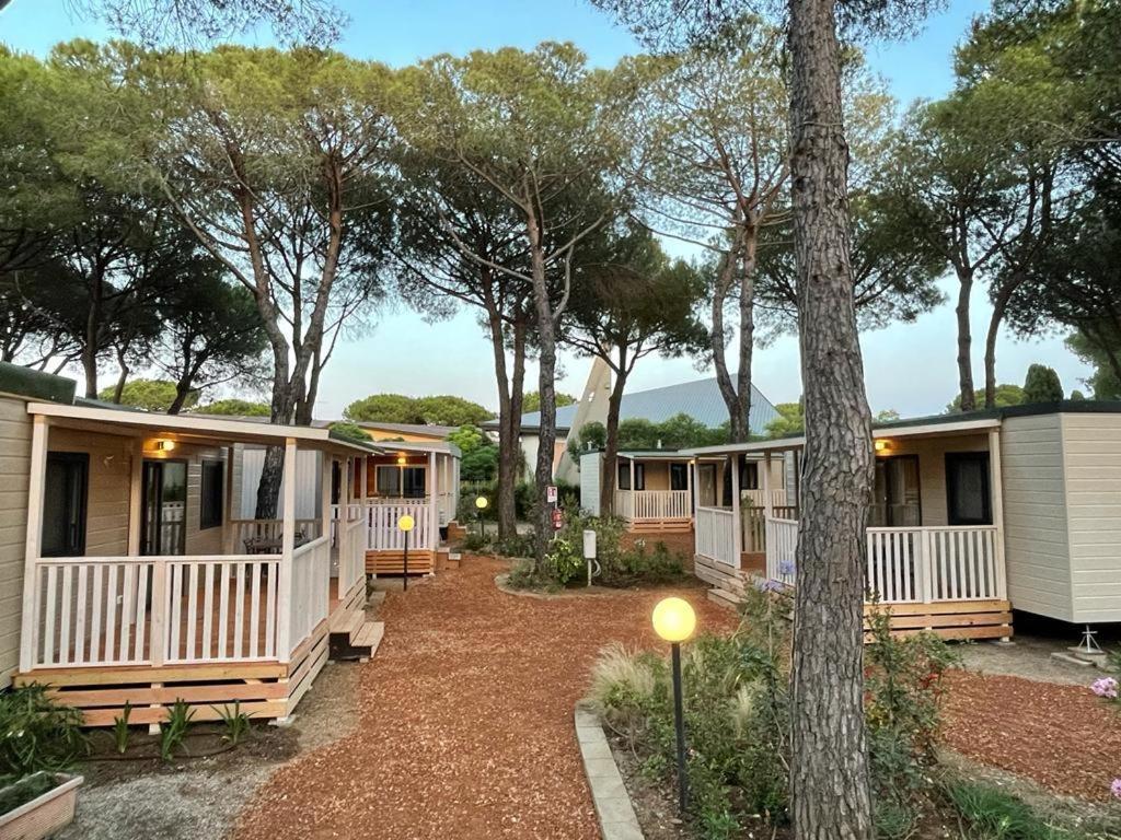 Camping I Melograni Marina Di Bibbona Eksteriør billede
