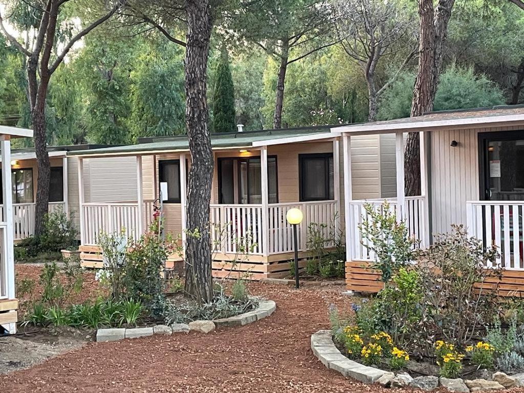 Camping I Melograni Marina Di Bibbona Eksteriør billede