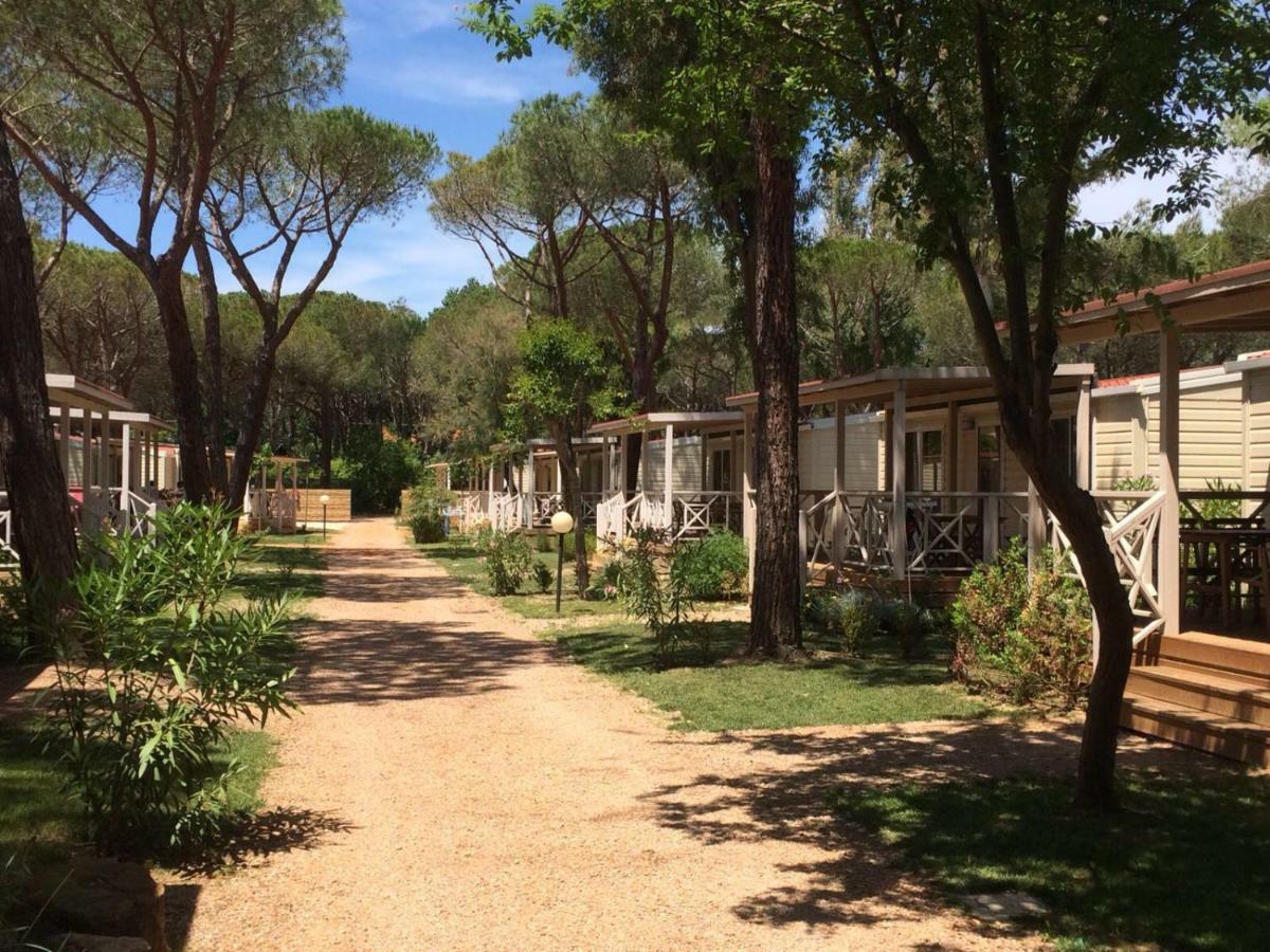 Camping I Melograni Marina Di Bibbona Eksteriør billede